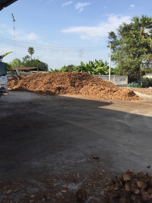 ขายกะลามะพร้าวสำหรับเชื้อเพลิงboiler(บอยเลอร์)