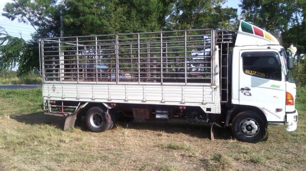 ขาย รถสวย HINO 150 แรงม้า ยาว 5 เมตร 50 ซี่รี่ย์ 500