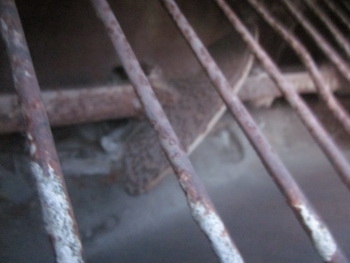 ตามคำเรียกร้องครับ รูปถ่ายมุมอื่นๆ ของ Concrete pump truck รถปั๊มปูน ยิงปูน TADANO ท่อส่ง 5 นิ้ว รถ 6 ล้อ ISUZU - NPR พร้อมใช้งาน อุปกรณ์ ครบชุด ตามคำเรียกร้องครับ รูปถ่ายมุมอื่นๆ ของ Concrete pump truck รถปั๊มปูน ยิงปูน TADANO ท่อส่ง 5 นิ้ว รถ 6 ล้อ ISUZU - NPR พร้อมใช้งาน อุปกรณ์ ครบชุด