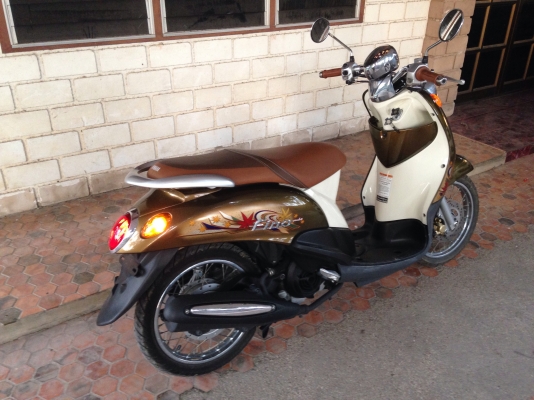 รถใหม่ ป้ายแดง "(ตัวโชว์) รถใหม่ ป้ายแดง "(ตัวโชว์)