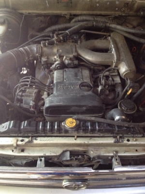 ขาย ไมตี้เอ็ก