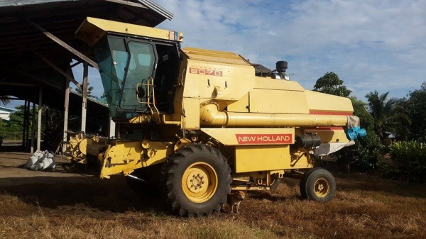 รถเกี่ยวข้าวโพด  New holland 8070