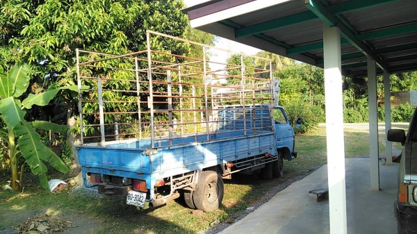 ไดน่าไปทำอีแต๋น