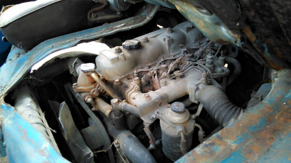 ไดน่าไปทำอีแต๋น