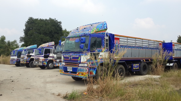 รถประกอบหลายรุ่นมีให้ท่านเลือก