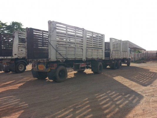 ขายด่วนHINO MEGA260สองเพลาดั้มแม่ลูกไม่ดั้มราคาเบาๆจัดแนนท์ไดสูงรีบจองโทร0843923995