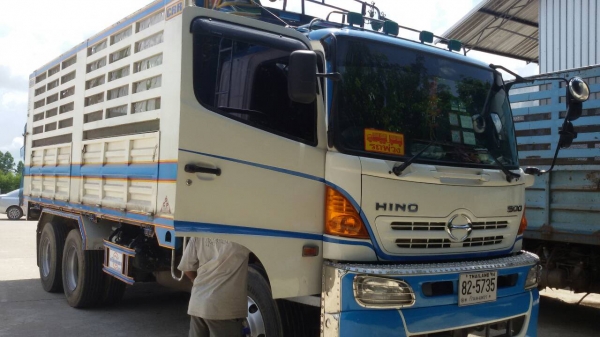 ขายฮีโน่ เมก้า344แรงม้า แม่ลูก