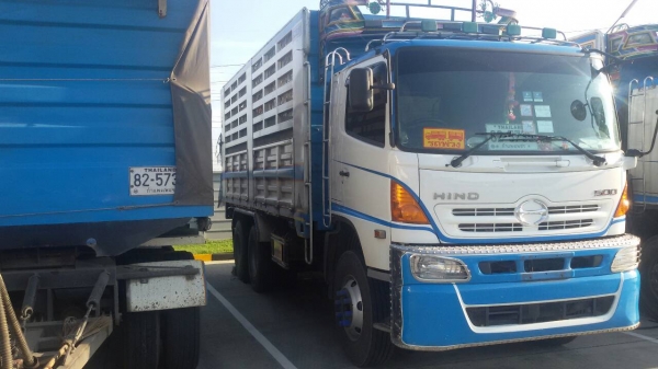 ขายฮีโน่ เมก้า344แรงม้า แม่ลูก