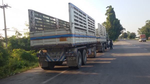 ขายฮีโน่ เมก้า344แรงม้า แม่ลูก