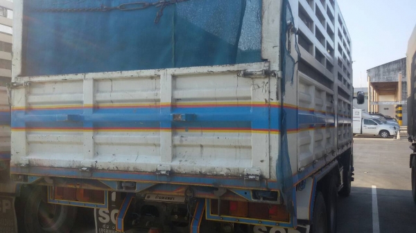 ขายฮีโน่ เมก้า344แรงม้า แม่ลูก