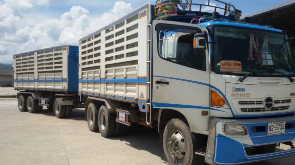 ขายฮีโน่ เมก้า344แรงม้า แม่ลูก