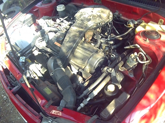 รถเก๋ง อีคา