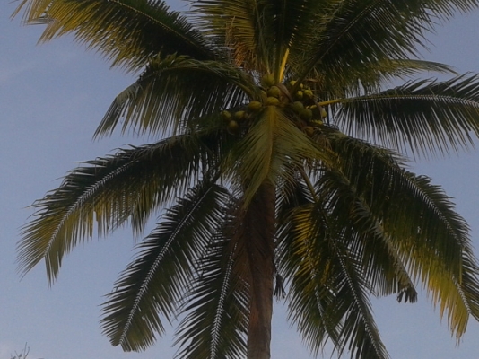 ทีดินสมุทรสงคราม