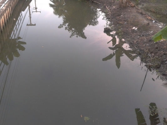 ทีดินสมุทรสงคราม