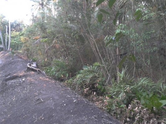 ทีดินสมุทรสงคราม