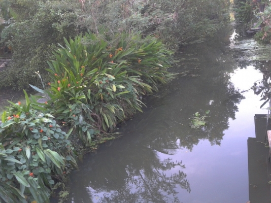 ทีดินสมุทรสงคราม