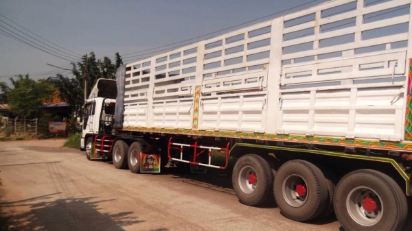 ขายดาวน์ 550000