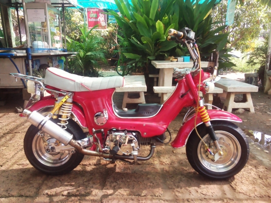 ขาย ชาลี เครื่องเวฟ 100 สภาพสวยๆ ของเเต่งตามรูป ราคาสุดคุ้ม 17500 (ทะเบียนเครื่อง+ใบซื้อขาย) สนใจโทร 089-8054390 โอ๋ ลพบุรี ขาย ชาลี เครื่องเวฟ 100 สภาพสวยๆ ของเเต่งตามรูป ราคาสุดคุ้ม 17500 (ทะเบียนเครื่อง+ใบซื้อขาย) สนใจโทร 089-8054390 โอ๋ ลพบุรี