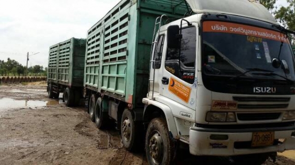 อีซูซุ DECA 270 FXZ 12 ล้อ ไม่ดั้ม  ไม่มีผ้าใบ ปี 50 เครื่องดี เกียร์ดี พร้อมใช้ สภาพดี ต่อรองราคาได้