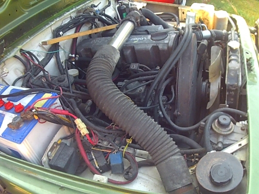 จิ๊บ คาริเบี้ยน