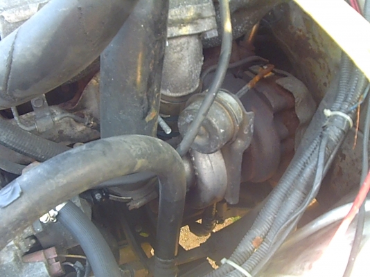 จิ๊บ คาริเบี้ยน