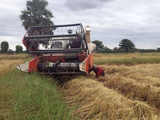 ขายรถเกี่ยวข้าวKUBOTA DC68G ระบบอุ้ม สภาพดี เกี่ยวเร็ว ทำงานคล่อง เครื่องดี ช่วงล่างแน่น สภาพพร้อมใช้งาน เอกสารเล่มทะเบียนพร้อมโอน สนใจโทร 090-8588220คุณนะ ID:narong498 หรือ www.truck.in.th/498 หรือFB:ณรงค์ ซื้อขายรถมือสอง(เว็บไซต์ส่วนตัว)