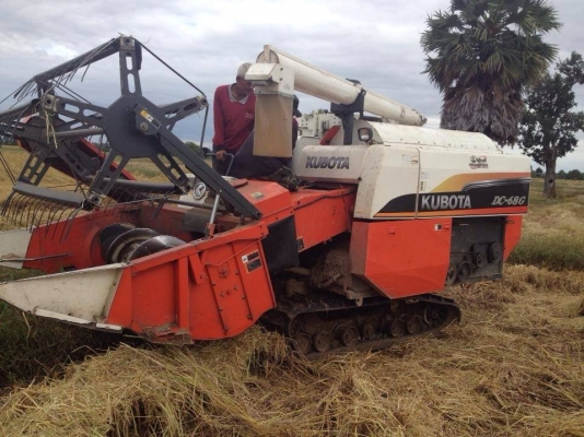ขายรถเกี่ยวข้าวKUBOTA DC68G ระบบอุ้ม สภาพดี เกี่ยวเร็ว ทำงานคล่อง เครื่องดี ช่วงล่างแน่น สภาพพร้อมใช้งาน เอกสารเล่มทะเบียนพร้อมโอน สนใจโทร 090-8588220คุณนะ ID:narong498 หรือ www.truck.in.th/498 หรือFB:ณรงค์ ซื้อขายรถมือสอง(เว็บไซต์ส่วนตัว)