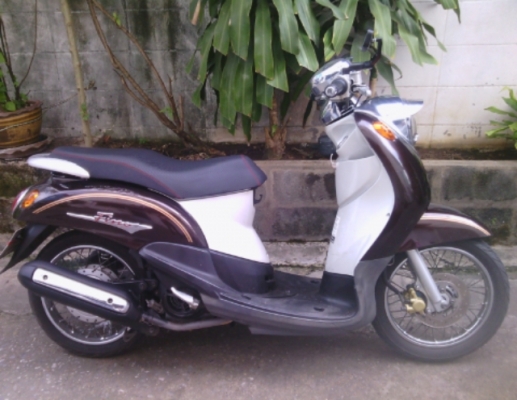 ขาย ฟีโน่ ปี 51 สภาพ 80\% หรือแลก เทริน เพิ่มส่วนต่าง