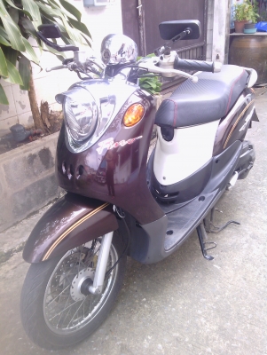 ขาย ฟีโน่ ปี 51 สภาพ 80\% หรือแลก เทริน เพิ่มส่วนต่าง