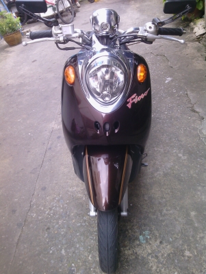 ขาย ฟีโน่ ปี 51 สภาพ 80\% หรือแลก เทริน เพิ่มส่วนต่าง