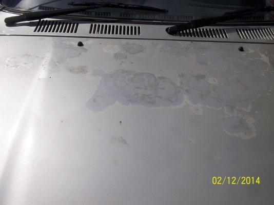 ขายไมตี้ปี40/97 ตามสภาพ เอกสารพร้อมโอน