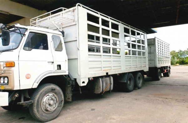 ขาย Nissan รถพ่วง