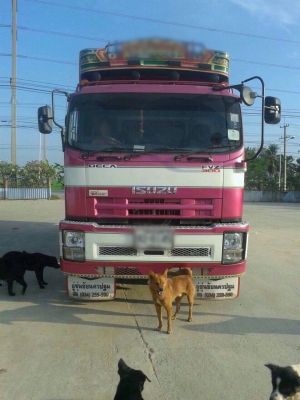 ขายรถบรรทุกสิบล้อดัมพ์ ISUZU FXZ34PSDFH เครื่อง 300 แรง ปี 54 กระบะดัมพ์อู่ซุ่นชัย ไมล์ 60,xxx