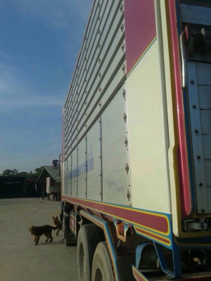 ขายรถบรรทุกสิบล้อดัมพ์ ISUZU FXZ34PSDFH เครื่อง 300 แรง ปี 54 กระบะดัมพ์อู่ซุ่นชัย ไมล์ 60,xxx ขายรถบรรทุกสิบล้อดัมพ์ ISUZU FXZ34PSDFH เครื่อง 300 แรง ปี 54 กระบะดัมพ์อู่ซุ่นชัย ไมล์ 60,xxx