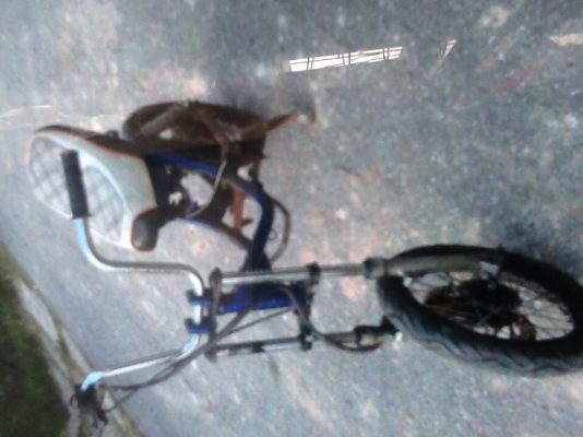 ขายชิปปี้ ไม่มีเครื่อง