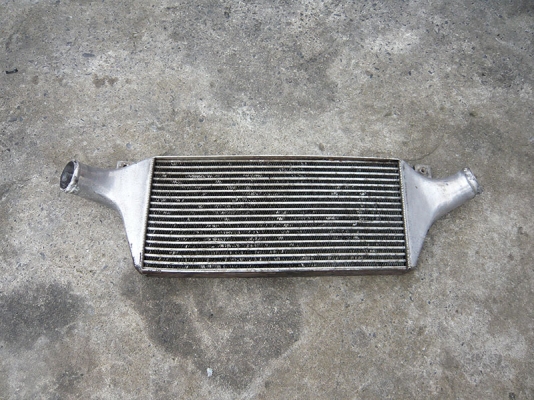 ขายอินเตอร์คูเล่อหน้าใบใหญ่ๆ