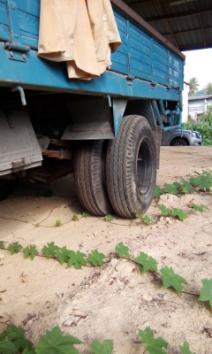 ขายรถบรรทุก 6 ล้อใหญ่กระบะคาร์โก้ TOYOTA เครื่อง 13B 85 แรงม้าปี 2542 ราคา 135000