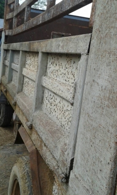 (ร้านรุ่งโรจน์ 082-1057078)ขาย 6 ล้อisuzu npr ดั้ม ราคาถูกๆ (NPR58L)(เครื่อง4BE1ฝาดำ) เฟืองท้าย f กะบอกดั้มยิงหน้า6ตัน เครื่องแน่น แห้ง แรง แชสซีสวยเดิมทั้งเส้น เล่มทะเบียนพร้อมโอน (ร้านรุ่งโรจน์ 082-1057078)ขาย 6 ล้อisuzu npr ดั้ม ราคาถูกๆ (NPR58L)(เครื่อง4BE1ฝาดำ) เฟืองท้าย f กะบอกดั้มยิงหน้า6ตัน เครื่องแน่น แห้ง แรง แชสซีสวยเดิมทั้งเส้น เล่มทะเบียนพร้อมโอน