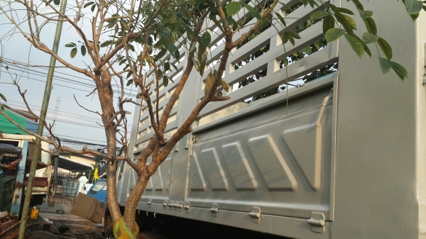 ขาย10ล้อฮีโน่ ซูโม่ FM227 ดั๊ม2เพลา เครื่อง 220แรง รถสภาพสวยมาก พร้อมใช้สุดๆ ขาย10ล้อฮีโน่ ซูโม่ FM227 ดั๊ม2เพลา เครื่อง 220แรง รถสภาพสวยมาก พร้อมใช้สุดๆ