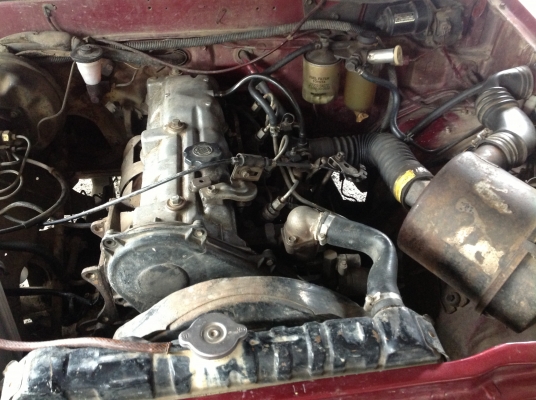 ม้าดำ๔ขอครับ ม้าดำ๔ขอครับ