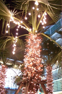 รับติดตั้งไฟประเภทต่าง ๆ ไฟในเต็นท์ ไฟในบูธ ไฟงานพระราชพิธี ไฟงานวัด และไฟแสงสว่าง ติดตั้งไฟนีออนด์ ติดตั้งปลั๊ก 5 แอมป์ รับเดินสายเมนต์ รับติดตั้งไฟประเภทต่าง ๆ โดยช่างผู้ชำนาญงาน (ร้านวงศ์นิรันดร์ 0863229969)