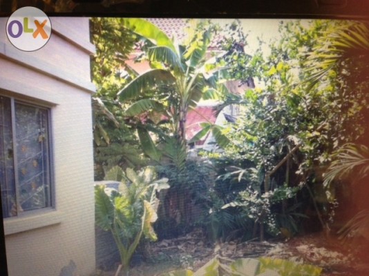 ขายบ้านแฝด ม. พฤกษา36 อ่อนนุช ลาดกระบัง เนื้อที่ 39 ตรว ไม่เคยเข้าอยู่