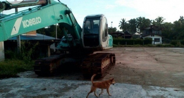 Kobay 200 รุ่น 5