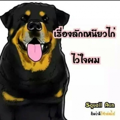 ขายเปอร์โย 505 GR วาง 2JZ GE ติดแก๊ส ยี่ห้อ : Peugeot รุ่น : Peugeot505 เชื้อเพลิง : LPG ขายเปอร์โย 505 จีอาร์ วางเครื่อง 2 เจแซด จีอี 3000 ซีซ๊ เกียร์ออโต แม็ก4เส้น ยาง มิชลินใหม่4เส้น แอร์เย็นๆ เบาะตามสภาพ พวงมาลัยธรรมดา ถังแก๊ส แอลพีจี 75 ลิตร ประหยัดม ขายเปอร์โย 505 GR วาง 2JZ GE ติดแก๊ส ยี่ห้อ : Peugeot รุ่น : Peugeot505 เชื้อเพลิง : LPG ขายเปอร์โย 505 จีอาร์ วางเครื่อง 2 เจแซด จีอี 3000 ซีซ๊ เกียร์ออโต แม็ก4เส้น ยาง มิชลินใหม่4เส้น แอร์เย็นๆ เบาะตามสภาพ พวงมาลัยธรรมดา ถังแก๊ส แอลพีจี 75 ลิตร ประหยัดม