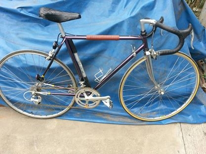 ขายเสือหมอบ ครับ 16,500 บาท รับเอง รังสิต จัดส่งได้