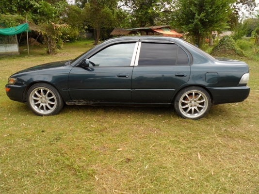 ขายไปแล้วครับ ขอบคุณพี่เสือ ครับ ขายไปแล้วครับ ขอบคุณพี่เสือ ครับ