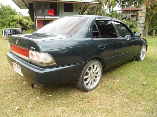 ขายไปแล้วครับ ขอบคุณพี่เสือ ครับ ขายไปแล้วครับ ขอบคุณพี่เสือ ครับ