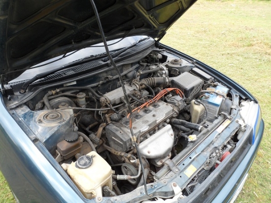 ขายไปแล้วครับ ขอบคุณพี่เสือ ครับ ขายไปแล้วครับ ขอบคุณพี่เสือ ครับ