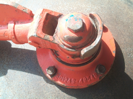 กระทู้ผานบุกเบิกพร้อมใบ 22 นิ้ว