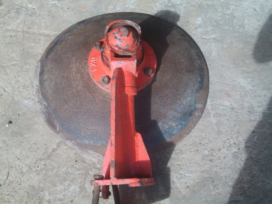 กระทู้ผานบุกเบิกพร้อมใบ 22 นิ้ว